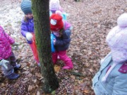 Výprava do lesa, krmení zvířátek